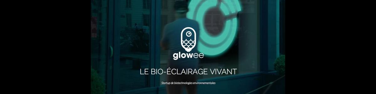 Glowee : produire de la lumière sans électricité