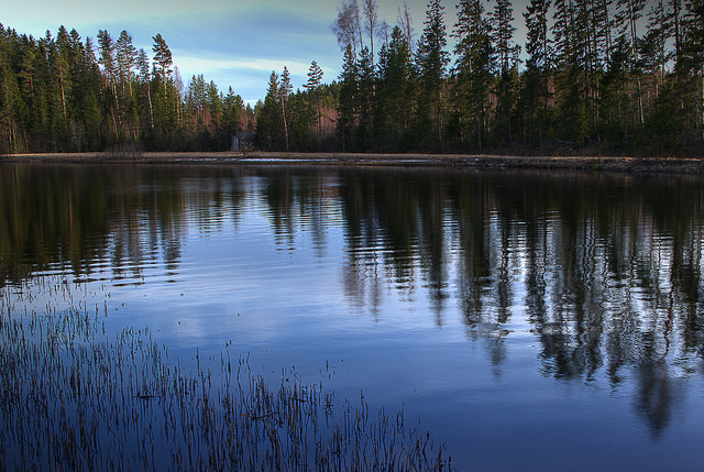 water_thomas_lunabba_avril_2014