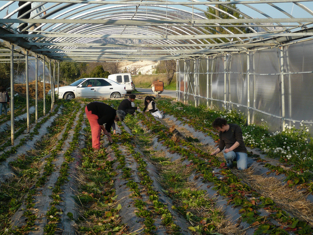 2016-06-02_circuitscours_iew