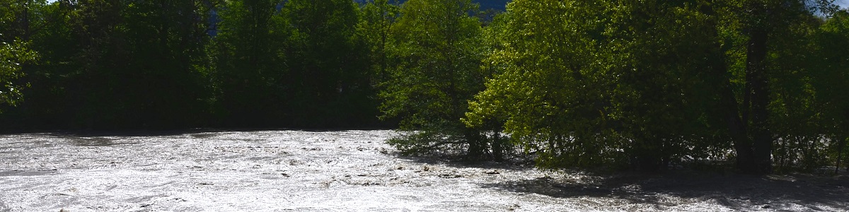 franck_schneider_-_larve_en_crue_sur_les_berges_de_vessy_-_2_mai_2015