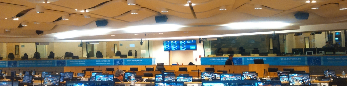 social economy-future of the eu
