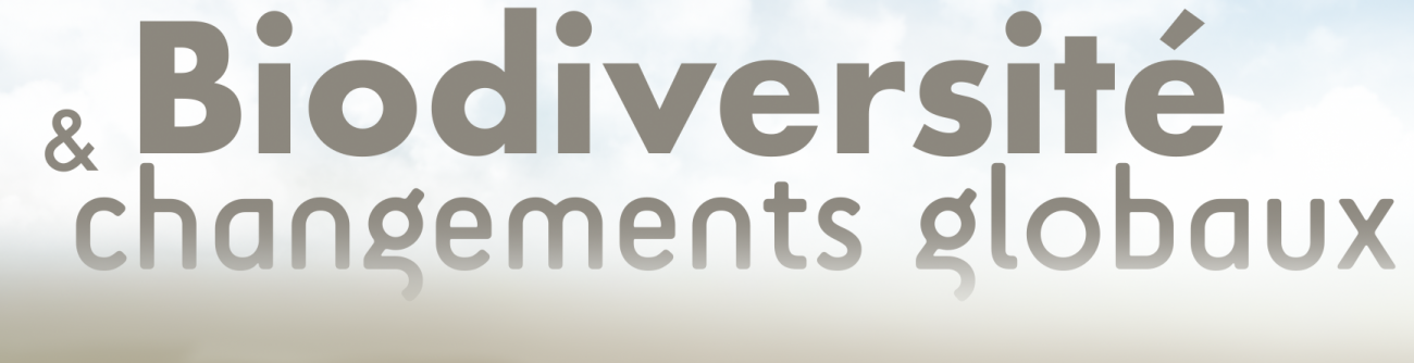 uved_1