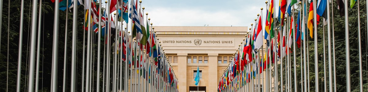 pexels-mathias-reding-4468974